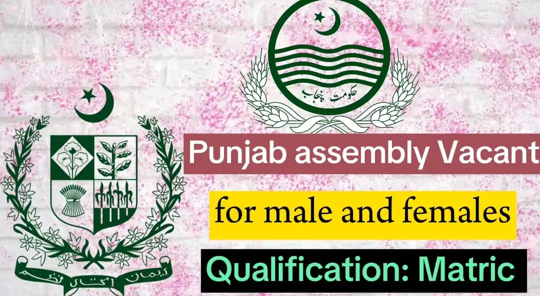 Punjab Assembly Jobs 2024