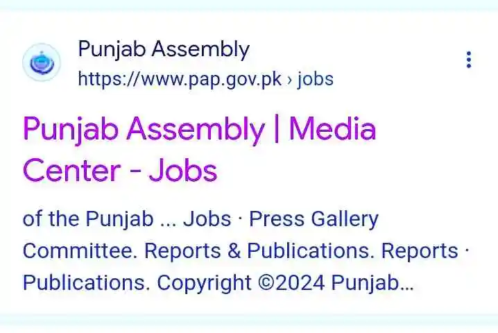 Punjab Assembly Jobs 2024