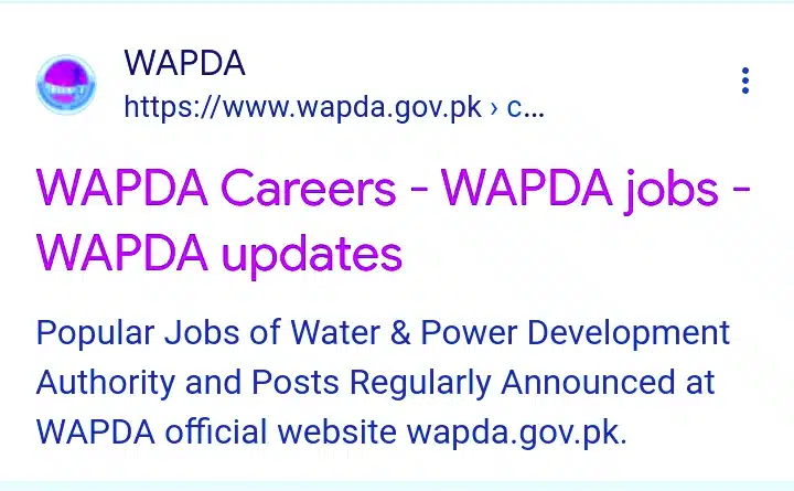 WAPDA Jobs 2024