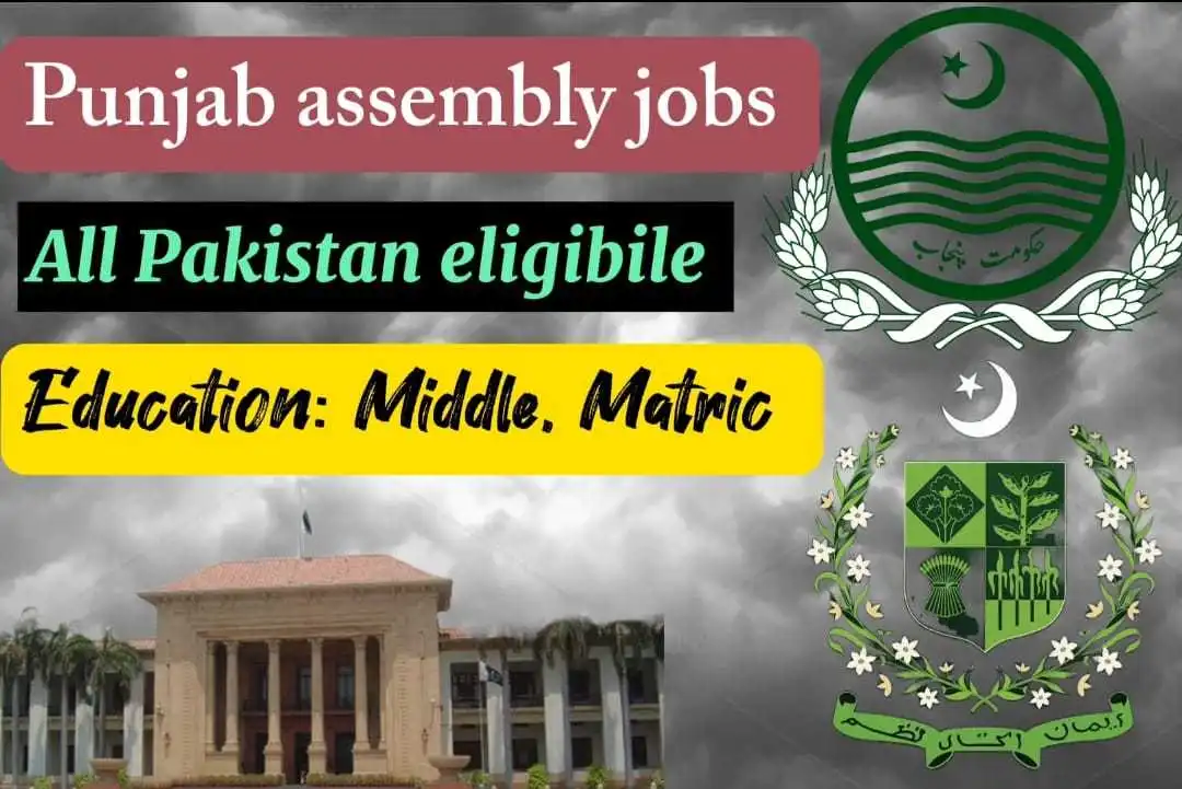 Punjab assembly jobs